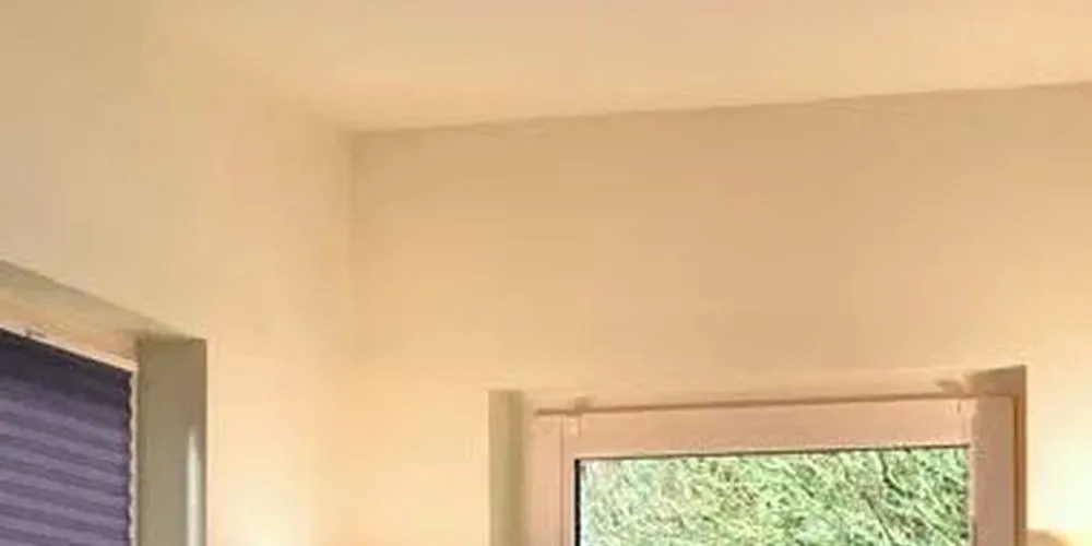 Фото шторы плиссе с электроприводом  в кабинет