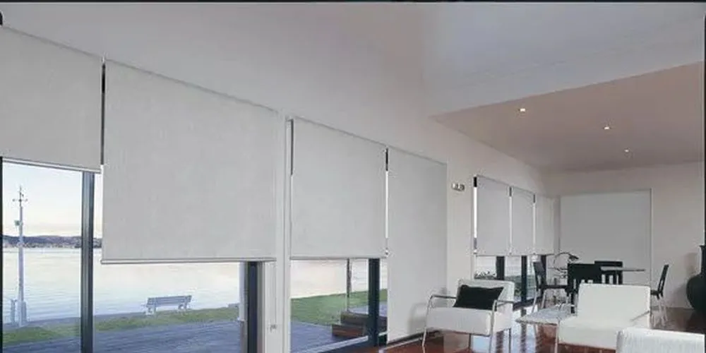 Фото моторизованные рулонные шторы  в зал