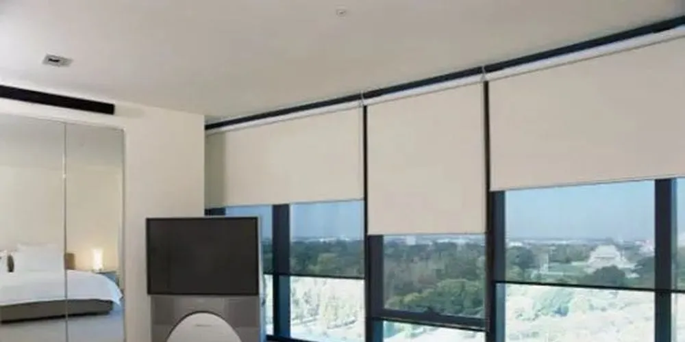 Фото моторизованные рулонные шторы  в гостиную
