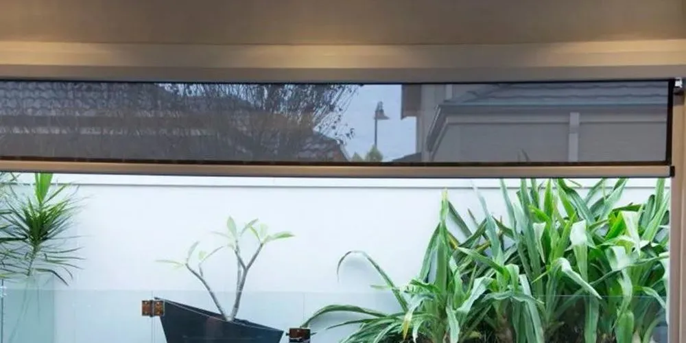 Фото моторизованные зипы  на алюминиевые окна